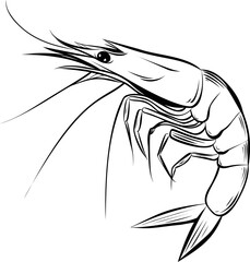 Aufkleber - Black and white illustration of a detailed shrimp in side profile view. Vector illustration