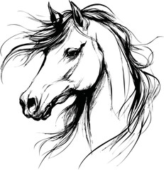 Poster - Elegant black ink sketch of a horse head with flowing mane. Vector illustration