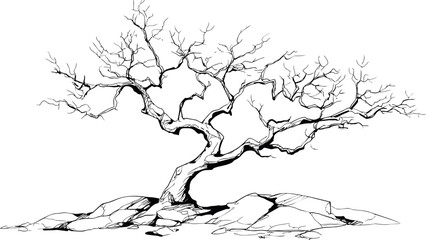 Aufkleber - Minimalistic line drawing of a leafless tree on rocky ground. Vector illustration