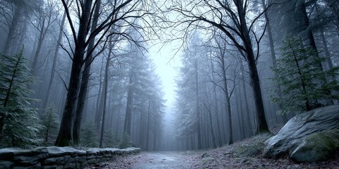 Poster - a dark gothic forest with twisted trees and heavy overcast skies filtering dim light