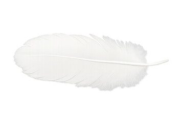 Poster - Close-up of a pristine white feather, isolated on a transparent background, symbolizing lightness, purity, and gentleness