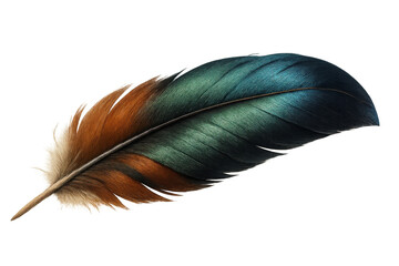 Poster - Colorful iridescent feather with orange and green tones isolated on transparent background, ideal for graphic projects