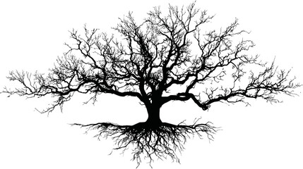 Poster - Silhouette of a large tree with extensive branches and roots. Vector illustration