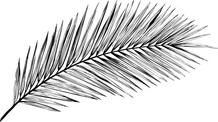 Aufkleber - Palm leaf illustration in black and white with intricate line details. Vector illustration