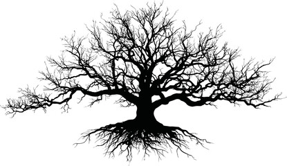 Poster - Silhouette of a bare tree with branches and roots. Vector illustration