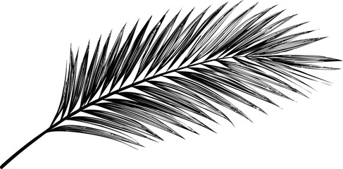 Aufkleber - Black silhouette of a palm frond in. Vector illustration