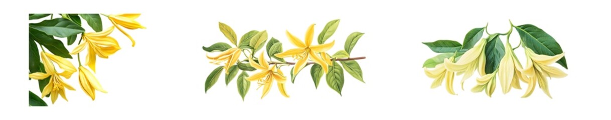Poster - set of Vibrant yellow and green floral display isolated on transparent background