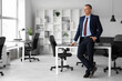 © Pixel-Shot - Portrait of handsome mature businessman in light office