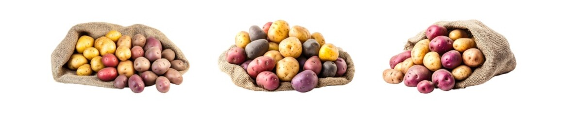 Poster - set of Assorted potatoes in burlap sacks and containers. isolated on transparent background