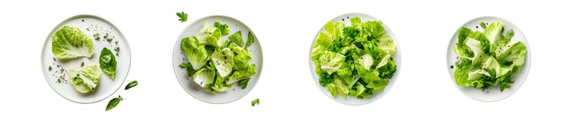 Poster - set Stages of chopping fresh green leafy vegetable. isolated on transparent background