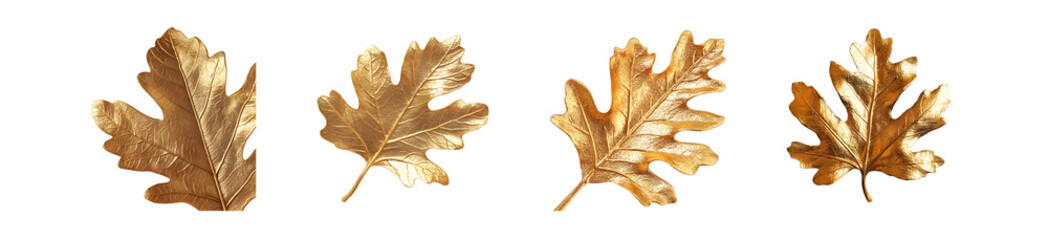Poster - set of Golden leaves in a decorative arrangement. isolated on transparent background