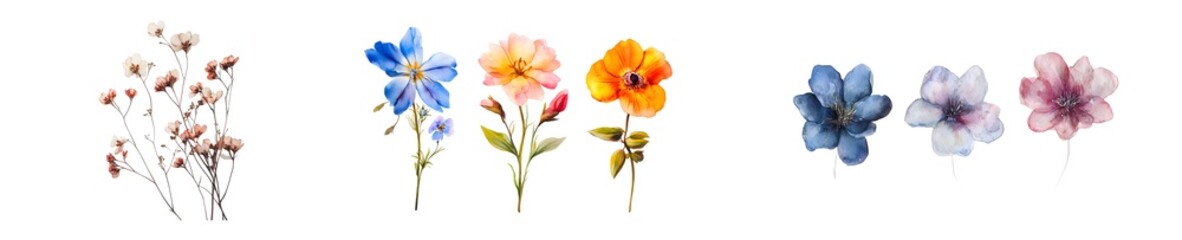 Poster - set of Colorful floral arrangement in decorative containers. isolated on transparent background