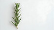 © swdesain - Rosemary sprig on white background