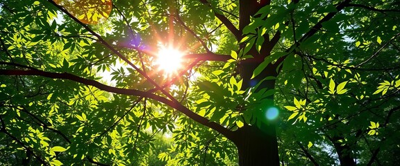 sun-dappled green forest texture, tree branch detail, image, environment