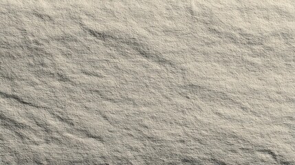 Poster - Subtle Aged Monochrome Paper Texture with Unique Depth and Detail