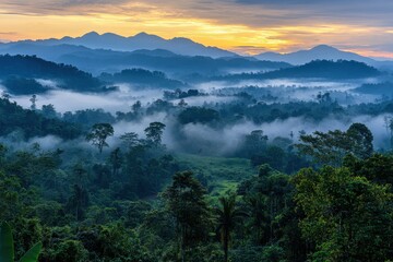 Wall Mural - Misty mountains and a green forest landscape are seen at dawn. Ideal for tourism ads, nature blogs, or travel magazine articles.