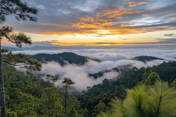 Wall Mural - Majestic sunrise over forest hills, fog hangs low in the valleys below. Use for travel blogs or showing beautiful landscapes of nature.
