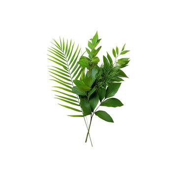 Falling green tropical palm frame png