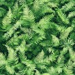 © Kittivon - Lush green ferns covering the ground surface.