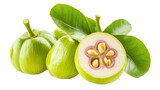 Freshly Cut Garcinia Atroviridis Fruit Highlighting Juicy Interior with Green Skin and Leaves