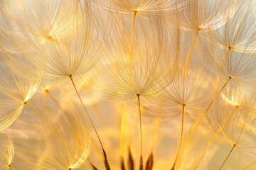 Fototapete - Would you like me to generate an image based on this too?