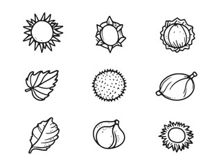 Poster - Simple chestnut leaf and nut outline line art vector