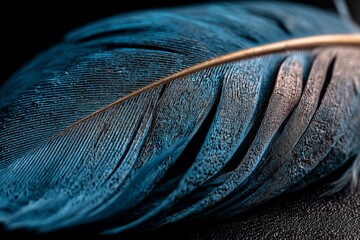 Aufkleber - Close-up of a vibrant blue feather resting on a textured surface with intricate details and natural patterns visible in the light