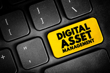 Poster - DAM Digital Asset Management - business process and an information management technology, acronym text button on keyboard