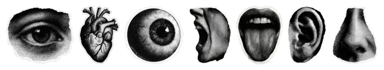 PNG Human senses illustrated in detail, element set on transparent background