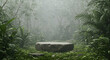 © Snaptrovert - Flat stone platform in forest fog with greenery
