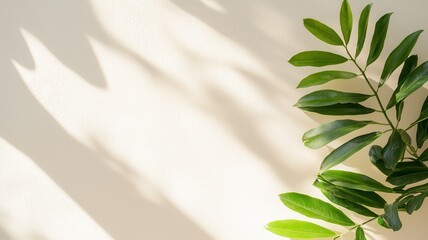 Poster - Bright sunlight filtering through houseplant blinds creating geometric shadow patterns across verdant window leaves
