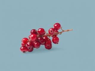 Aufkleber - Red Currants on Branch Still Life Against Blue Background Studio Shot Minimalist Food Photography Close Up