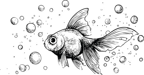 Aufkleber - Line drawing of goldfish swimming with bubbles, simple illustration artwork. Vector illustration