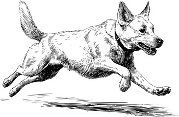 Aufkleber - Illustration of a playful dog jumping with joyful expression in black and white. Vector illustration