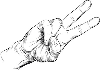 Poster - Black and white sketch of a hand showing a peace sign, detailed anatomy drawing. Vector illustration