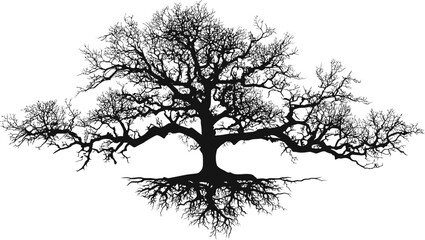 Poster - Silhouette of a bare tree with branches and roots against. Vector illustration