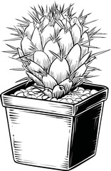 Poster - Black and white illustration of a spiky cactus in a pot with detailed lines. Vector illustration
