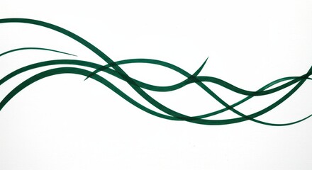 Fototapete - Abstract Green Swirling Lines Elegant Vector Background Design