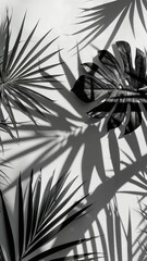 Poster - Tropical leaves cast beautiful patterns and shadows on a light surface, showcasing nature's artistry in black and white