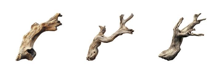 Poster - Driftwood Branches Set. Natural Decor And Art Material Collection Isolated On Transparent Background