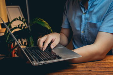 Poster - Person Working on Laptop in Cozy Workspace with Indoor Plant and Warm Lighting