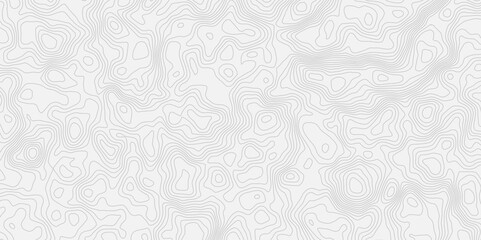 Poster - topographic modern white texture with subtle swirls and contour wavey lines, creating a soft and elegant background effect. Ideal for adding a touch of sophistication to designs.