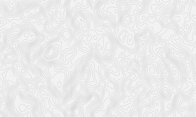 Poster - topographic modern white texture with subtle swirls and contour wavey lines, creating a soft and elegant background effect. Ideal for adding a touch of sophistication to designs.