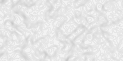 Poster - topographic modern white texture with subtle swirls and contour wavey lines, creating a soft and elegant background effect. Ideal for adding a touch of sophistication to designs.