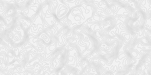 Poster - topographic modern white texture with subtle swirls and contour wavey lines, creating a soft and elegant background effect. Ideal for adding a touch of sophistication to designs.