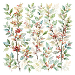Aufkleber - Sprigs with Green Leaves and Red Berries Arranged on a White Background