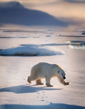 Generated Image of A polar bear walking across a glacier under a pale sky