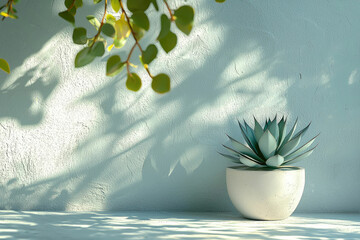 Poster - Agave plant in a white pot, sunlight casts shadows on a light teal wall.