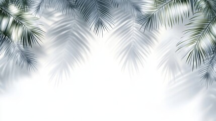 Poster - Intricate light and shadow patterns are formed by tropical leaves against a neutral backdrop