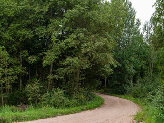Wall Mural - A dirt road with a tree on the side. The road is empty and the sky is cloudy. Nobody. Living in a rural country side area with bad road surface concept.